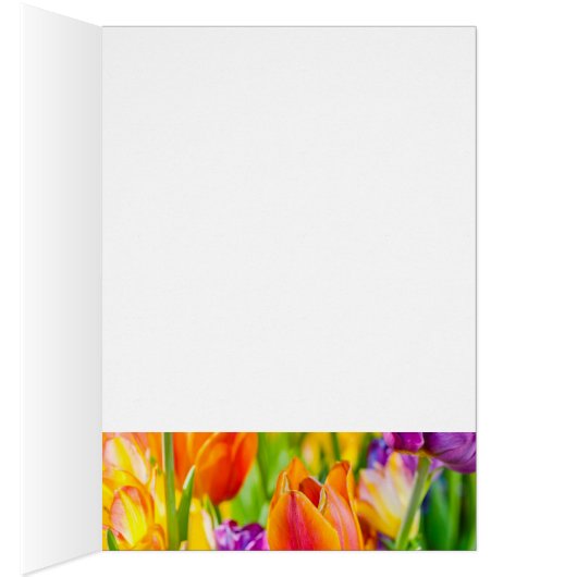 Tulips Enchanting (Inside (Right))