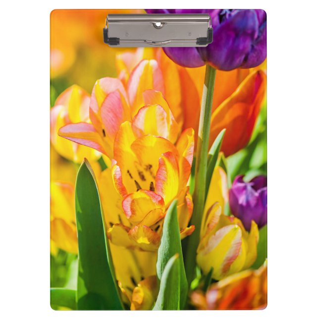Tulips Enchanting 01 Clipboard (Front)