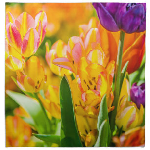 Tulips Enchanting 01 Napkin