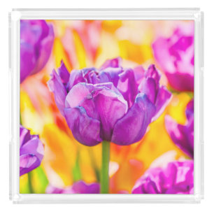 Tulips Enchanting 06 Acrylic Tray