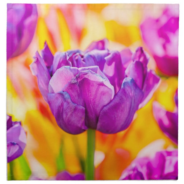 Tulips Enchanting 06 Napkin (Front)