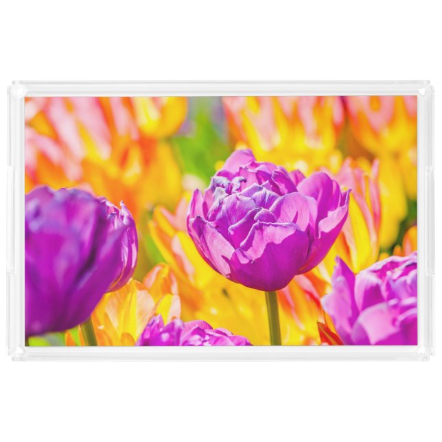 Tulips Enchanting 12 Acrylic Tray (Front)