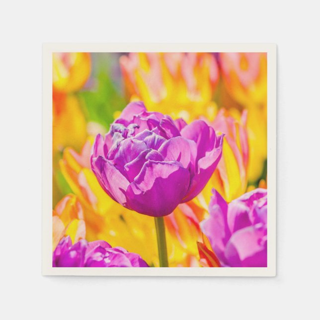 Tulips Enchanting 12 Paper Napkins (Front)