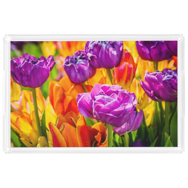 Tulips Enchanting 12a Acrylic Tray (Front)