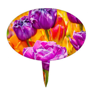 Tulips Enchanting 12a Cake Topper