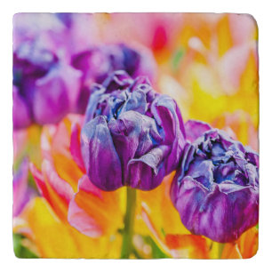 Tulips Enchanting 14 Trivet