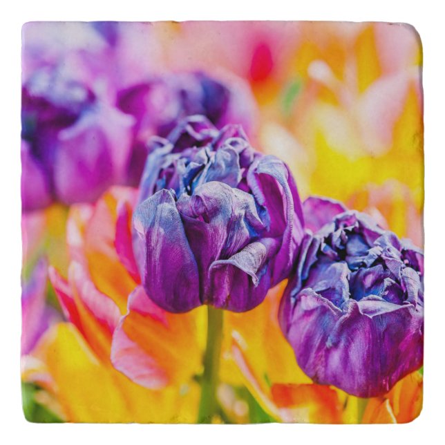 Tulips Enchanting 14 Trivet (Front)
