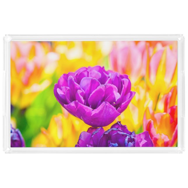 Tulips Enchanting 15 Acrylic Tray (Front)