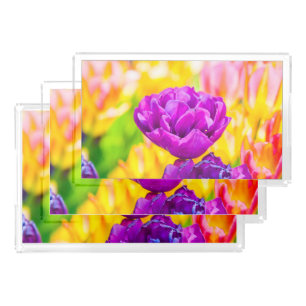 Tulips Enchanting 15 Acrylic Tray