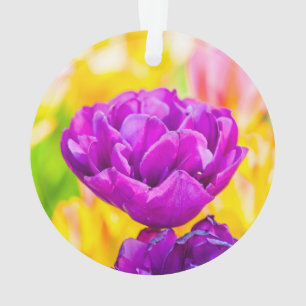 Tulips Enchanting 15 Ornament