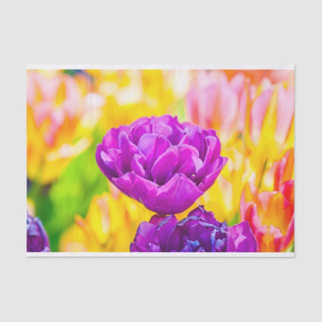Tulips Enchanting 15 Tissue Paper (Front)