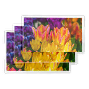 Tulips Enchanting 16 Acrylic Tray