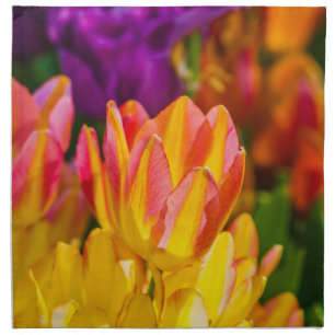 Tulips Enchanting 16 Napkin