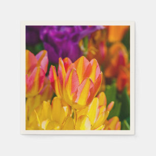 Tulips Enchanting 16 Paper Napkins