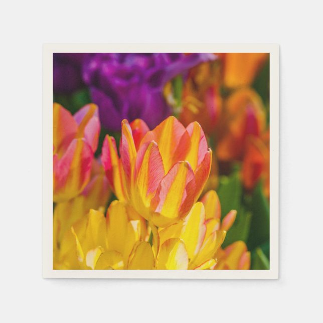 Tulips Enchanting 16 Paper Napkins (Front)