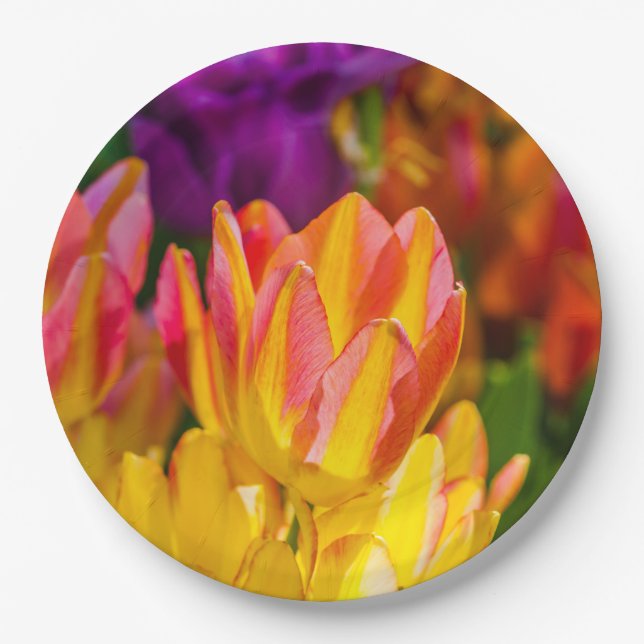Tulips Enchanting 16 Paper Plates (Front)