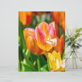 Tulips Enchanting 17 (Standing Front)