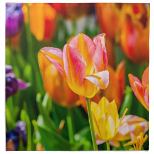 Tulips Enchanting 17 Napkin