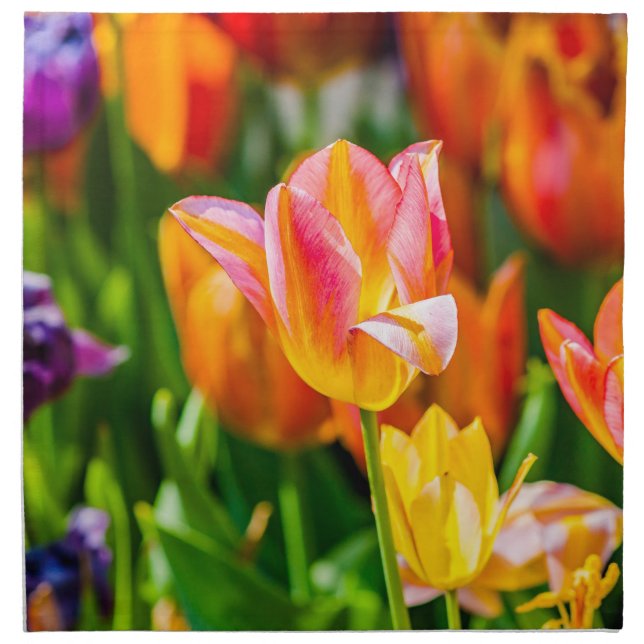 Tulips Enchanting 17 Napkin (Front)