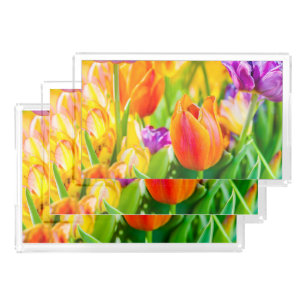 Tulips Enchanting Acrylic Tray