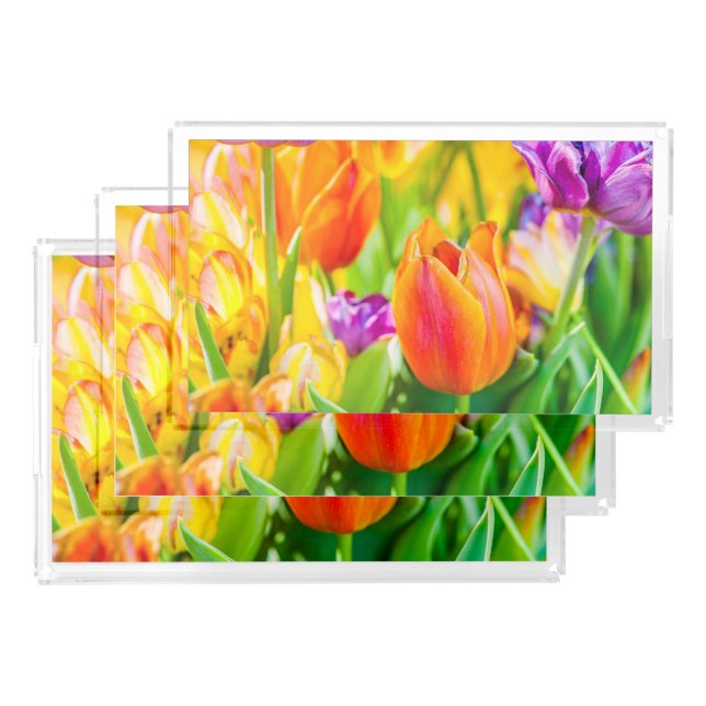 Tulips Enchanting Acrylic Tray (Set)