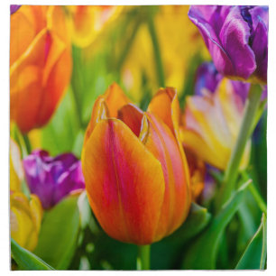 Tulips Enchanting Napkin