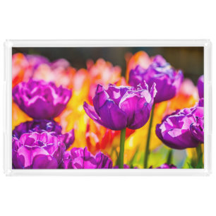 Tulips Enchanting Purple Acrylic Tray
