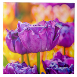 Tulips Enchanting Purple Ceramic Tile