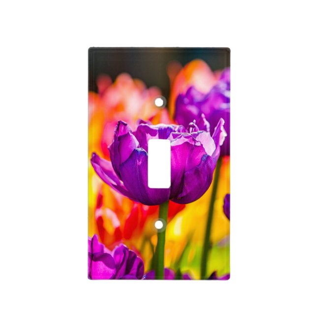 Tulips Enchanting Purple Light Switch Cover (Front)