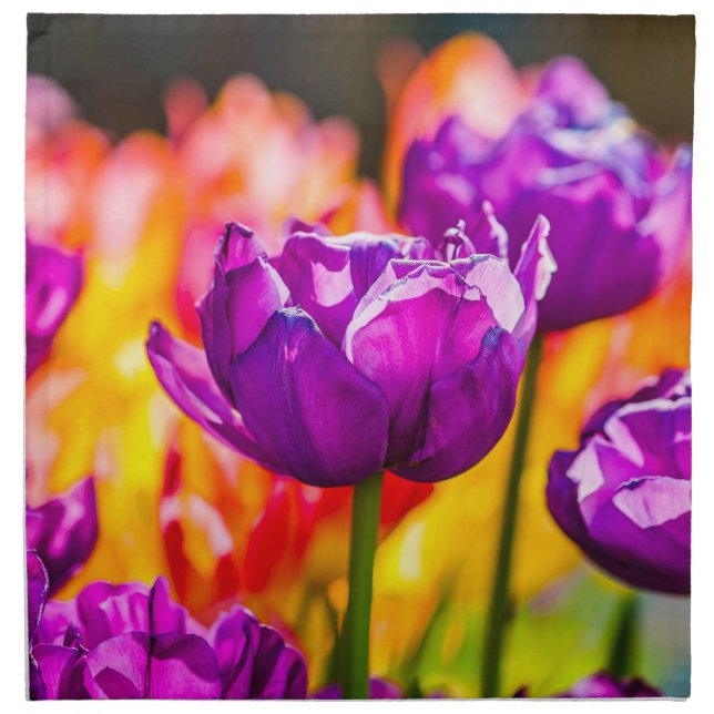 Tulips Enchanting Purple Napkin (Front)