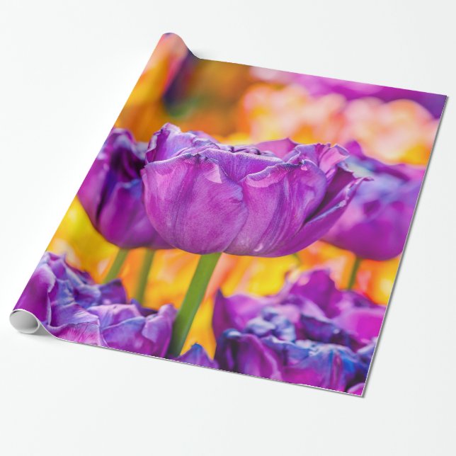 Tulips Enchanting Purple Wrapping Paper (Unrolled)
