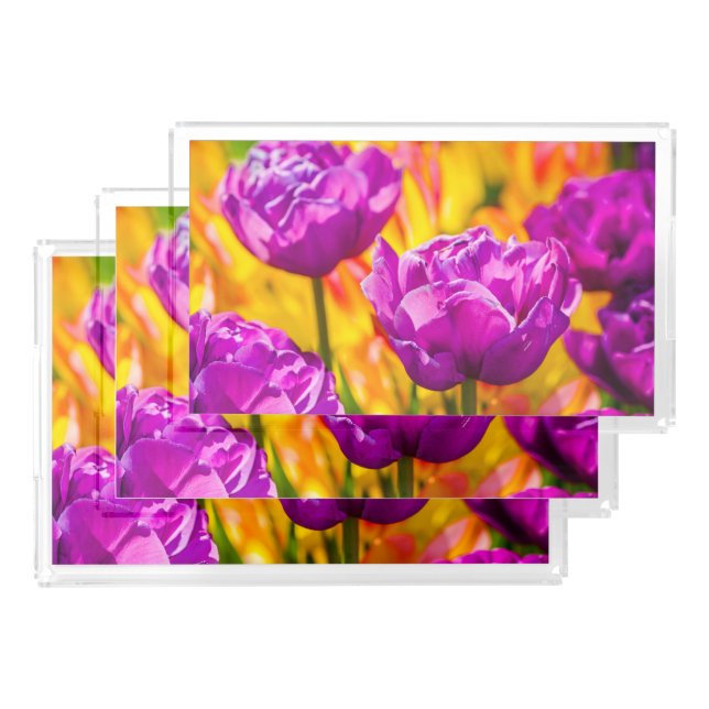 Tulips Enchanting Violet Acrylic Tray (Set)