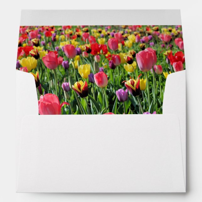 Tulips Envelope (Back (Bottom))