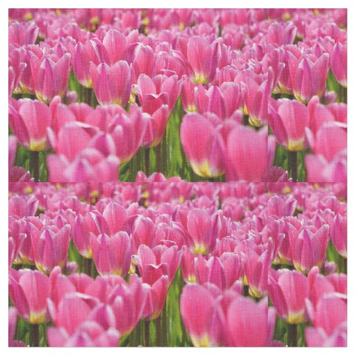 Tulips fabric !