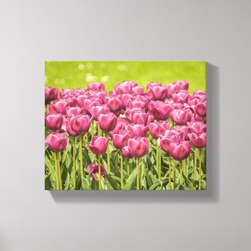 Tulips Field Flower Photo Canvas Print