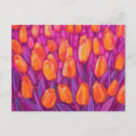 Tulips Field, Spring Flowers Floral Orange Purple  Postcard