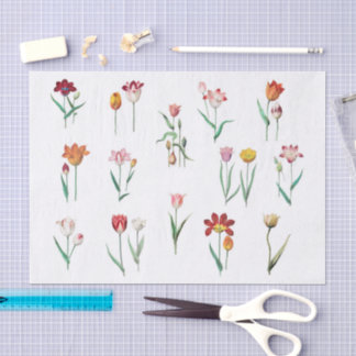 Tulips Floral Tissue Paper