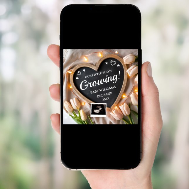 Tulips Flower Baby Announcement for Social Media (Front Digital)