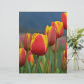 Tulips for Mom (Standing Front)