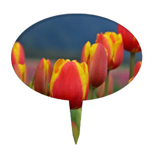 Tulips for Mom Cake Topper