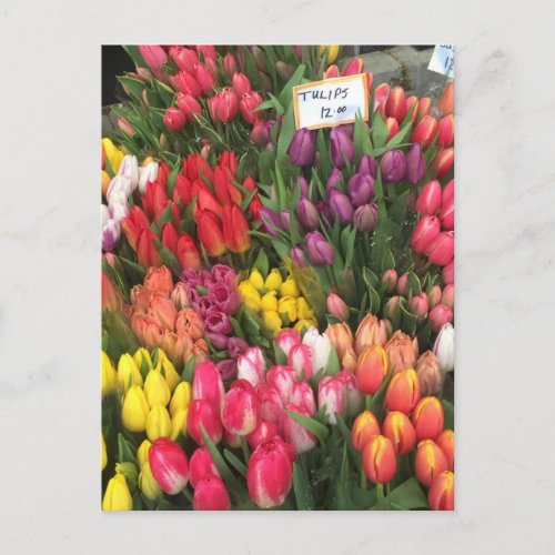 Tulips for Sale NYC Flowers Corner Bodega Photo Postcard