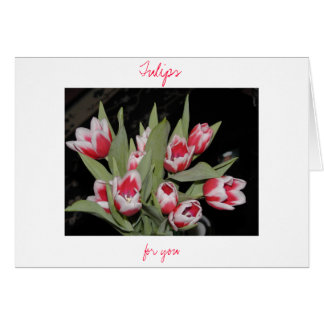 Tulips For You Cards