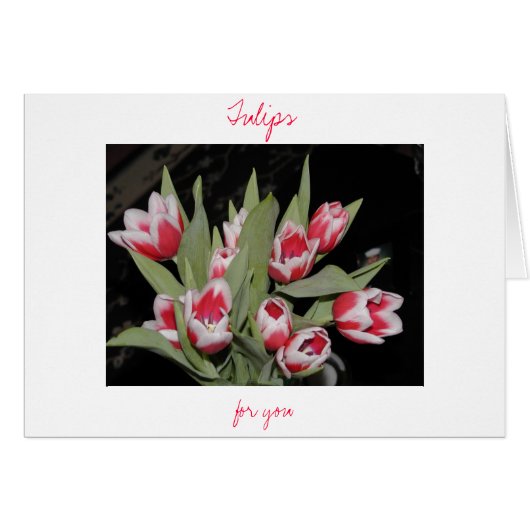 Tulips For You Cards (Front Horizontal)
