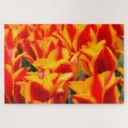 Tulips from Amsterdam Jigsaw Puzzle