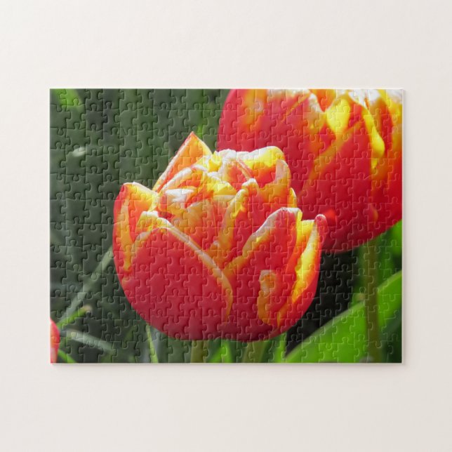 Tulips from Amsterdam. Jigsaw Puzzle (Horizontal)
