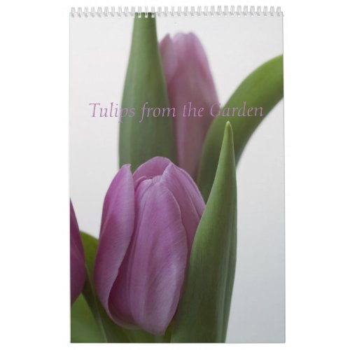 Tulips from the Garden Calendar