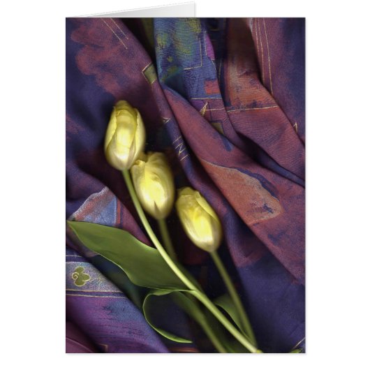 Tulips From the Heart Cards (Front)