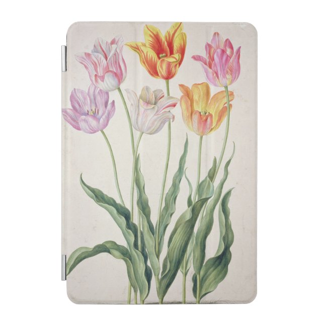 Tulips, from the 'Nassau Florilegium' (w/c on pape iPad Mini Cover (Front)