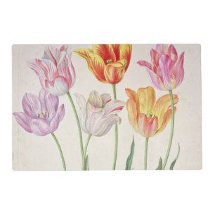 Tulips, from the 'Nassau Florilegium' (w/c on pape Placemat
