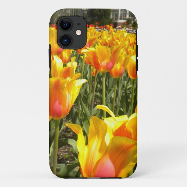 Tulips Galore iPhone 5 case (Back)